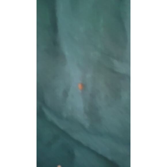 Vintage Sunrider Shades Shirt 3XL Made in Canada Green Button-Up NWT Minor Stain - Picture 7 of 7